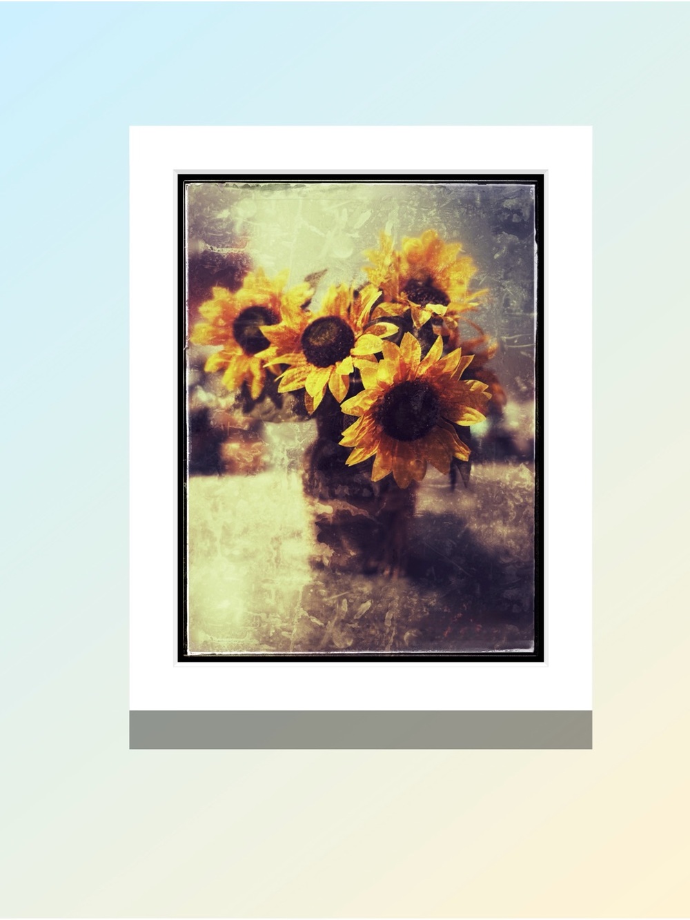 Matted Sunflower Photographic Print - Yellow Floral Wall Art by Joy M Holder